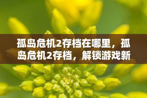 孤岛危机2存档在哪里图片