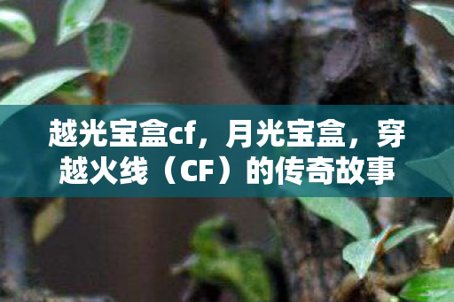 越光宝盒cf，月光宝盒，穿越火线（CF）的传奇故事