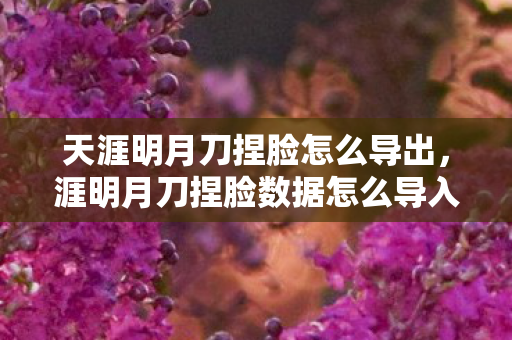 天涯明月刀捏脸怎么导出，涯明月刀捏脸数据怎么导入