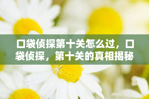 口袋侦探第十关怎么过,口袋侦探,第十关的真相揭秘 口袋侦探第十关怎么过,口袋侦探,第十关的真相揭秘