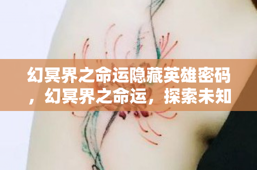 幻冥界之命运隐藏英雄密码图片