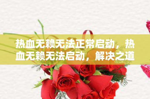 热血无赖无法正常启动,热血无赖无法启动,解决之道与游戏魅力探索 热血无赖无法正常启动,热血无赖无法启动,解决之道与游戏魅力探索