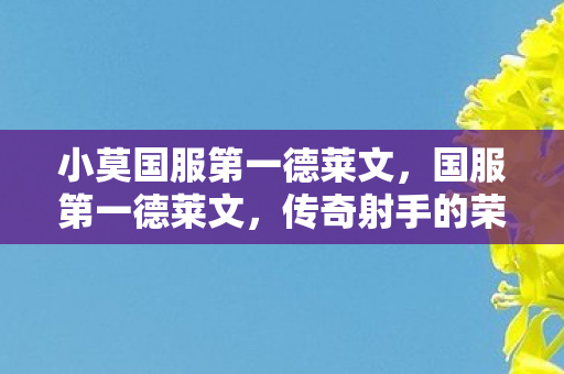 小莫国服第一德莱文,国服第一德莱文,传奇射手的荣耀之路 小莫国服第一德莱文,国服第一德莱文,传奇射手的荣耀之路