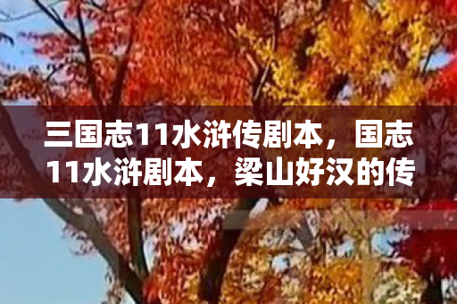 三国志11水浒传剧本图片