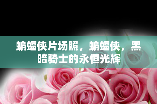 黑暗骑士的永恒光辉图片