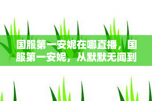 从默默无闻到峡谷之巅的传奇之路图片