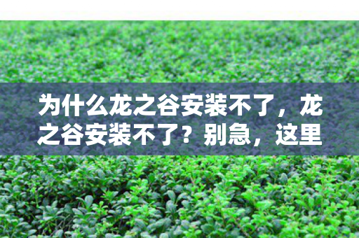 为什么龙之谷安装不了图片