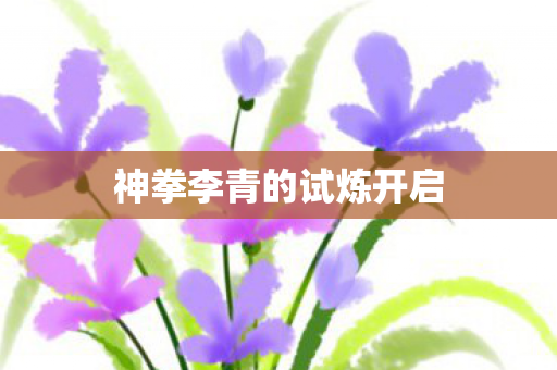 神拳李青的试炼开启图片