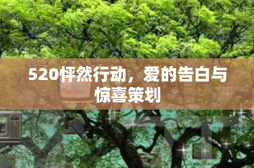 爱的告白与惊喜策划图片