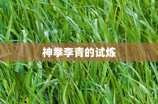 神拳李青的试炼图片