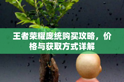 王者荣耀庞统购买攻略图片