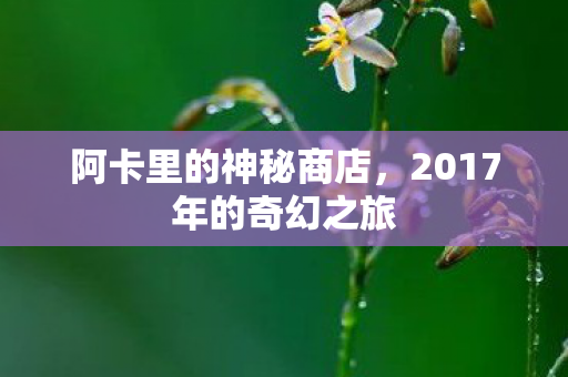 2017年的奇幻之旅图片