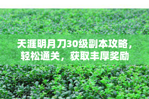 天涯明月刀30级副本攻略图片