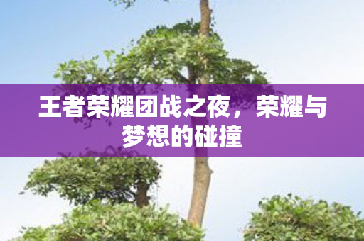 王者荣耀团战之夜图片