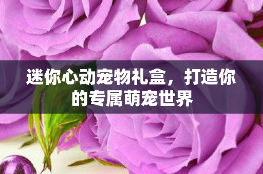 打造你的专属萌宠世界图片