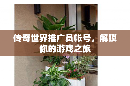 传奇世界推广员帐号图片