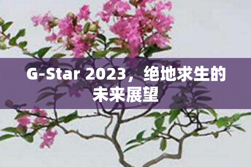 Star 2023图片