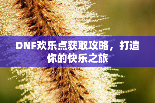 DNF欢乐点获取攻略图片