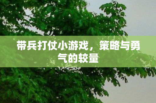 带兵打仗小游戏，策略与勇气的较量