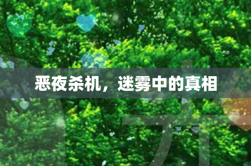 恶夜杀机，迷雾中的真相