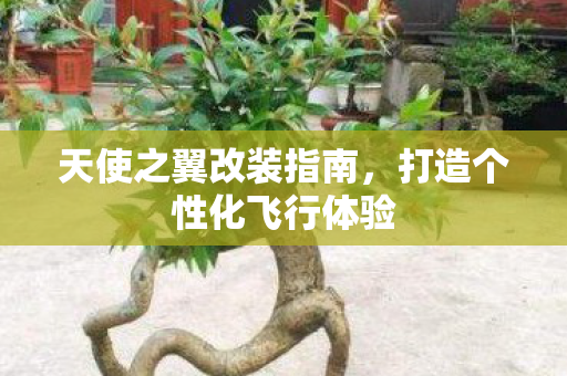 天使之翼改装指南，打造个性化飞行体验