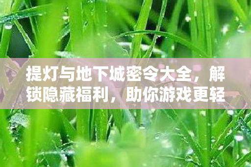 提灯与地下城密令大全，解锁隐藏福利，助你游戏更轻松