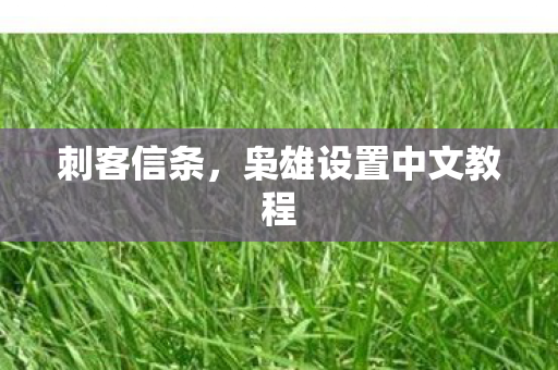 刺客信条，枭雄设置中文教程