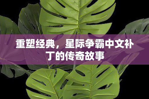 重塑经典，星际争霸中文补丁的传奇故事