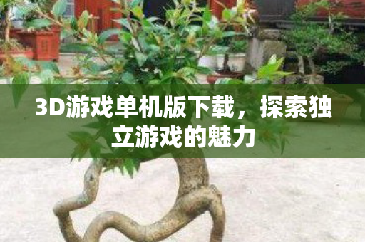 3D游戏单机版下载，探索独立游戏的魅力