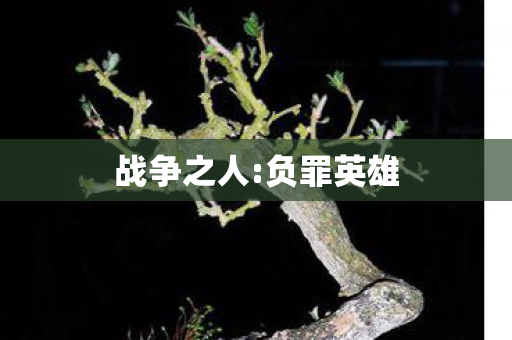 战争之人:负罪英雄