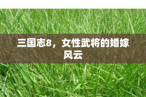 三国志8，女性武将的婚嫁风云