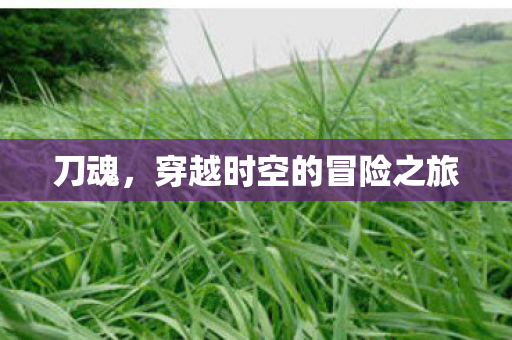 刀魂，穿越时空的冒险之旅