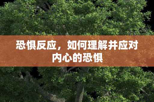 恐惧反应，如何理解并应对内心的恐惧