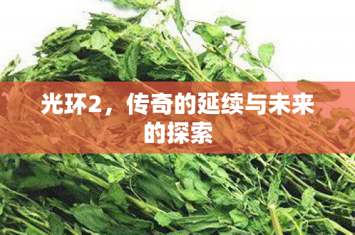 光环2，传奇的延续与未来的探索