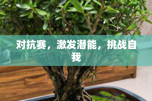 对抗赛，激发潜能，挑战自我