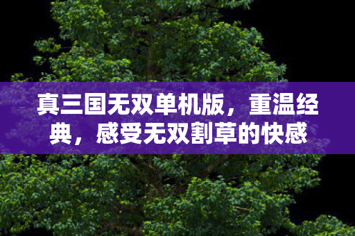 真三国无双单机版，重温经典，感受无双割草的快感