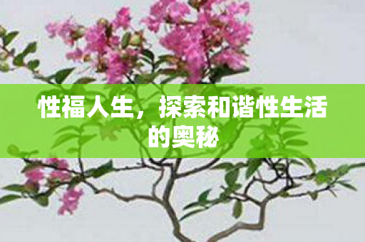 性福人生，探索和谐性生活的奥秘