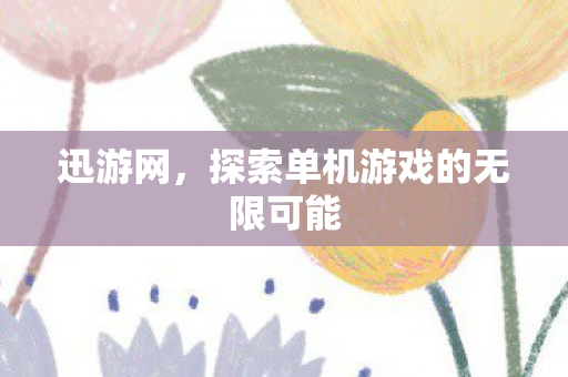 迅游网，探索单机游戏的无限可能
