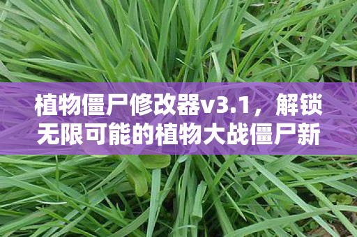 植物僵尸修改器v3.1，解锁无限可能的植物大战僵尸新体验