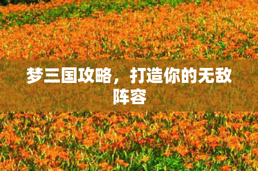 梦三国攻略,打造你的无敌阵容 梦三国攻略,打造你的无敌阵容
