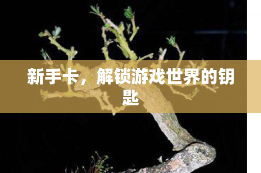 新手卡，解锁游戏世界的钥匙