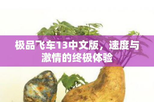 极品飞车13中文版，速度与激情的终极体验