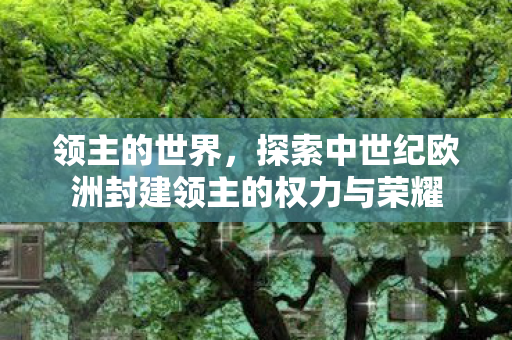 领主的世界，探索中世纪欧洲封建领主的权力与荣耀