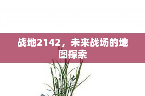 战地2142，未来战场的地图探索