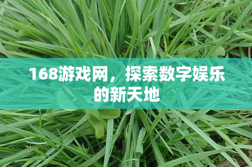 168游戏网，探索数字娱乐的新天地