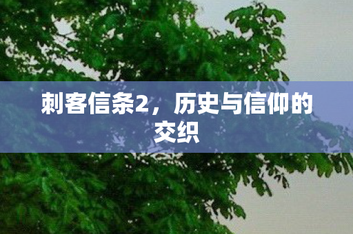 刺客信条2,历史与信仰的交织 刺客信条2,历史与信仰的交织