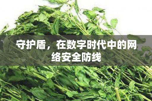 守护盾，在数字时代中的网络安全防线