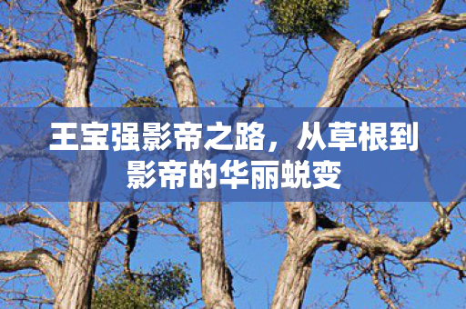 王宝强影帝之路，从草根到影帝的华丽蜕变