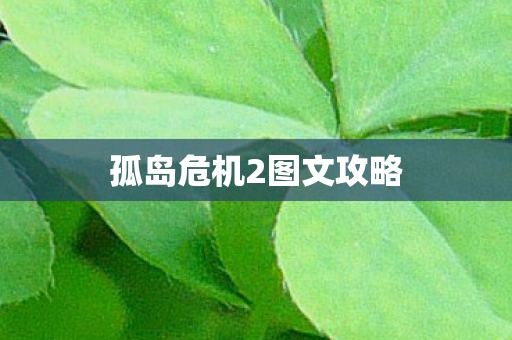 孤岛危机2图文攻略