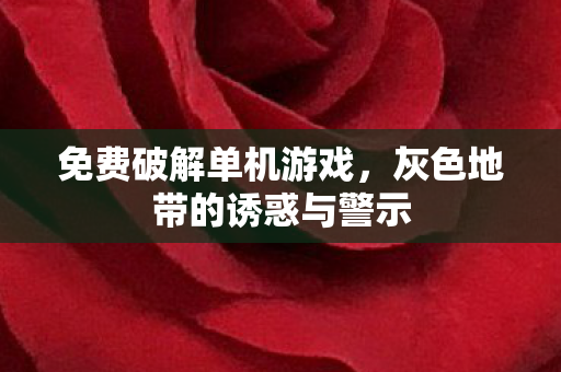 免费破解单机游戏，灰色地带的诱惑与警示